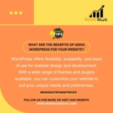 What are the benefits of using WordPress for my website?