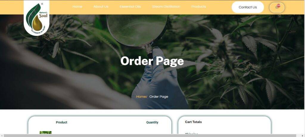 Best Digital Marketing Agency in Barasat